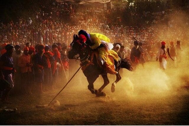 Sikh displaying skilled horsemanship during the Hola Mohalla festival