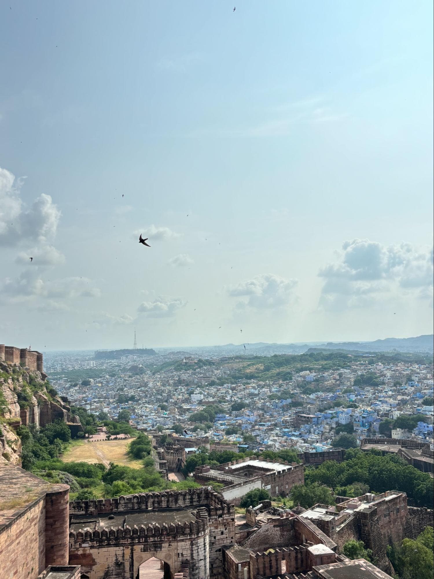 Jodhpur