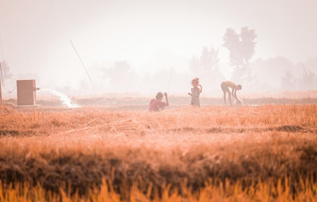 Winter in North India