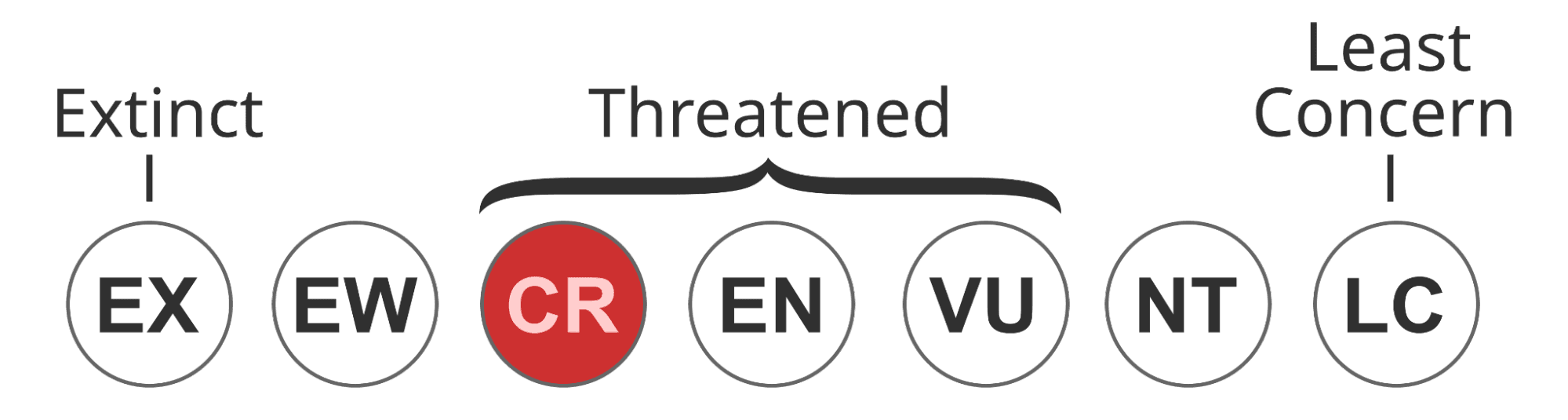 Status of IUCN Red List: Critically Endangered