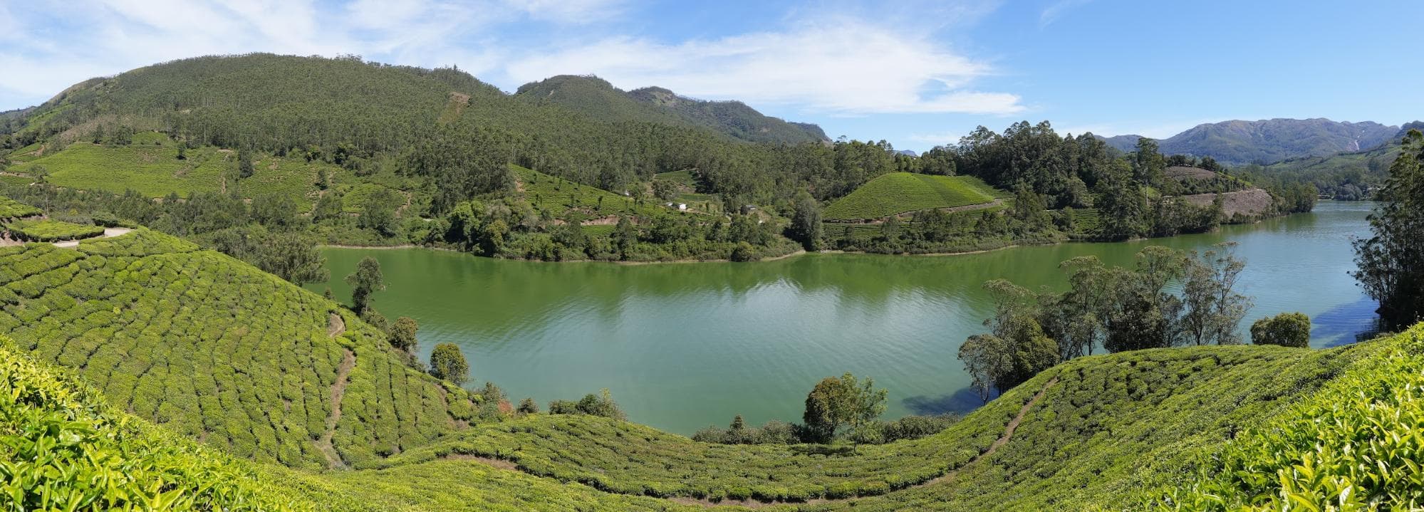 Munnar lake