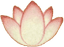 Lotus Flower